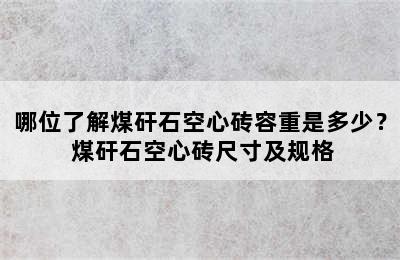 哪位了解煤矸石空心砖容重是多少？ 煤矸石空心砖尺寸及规格